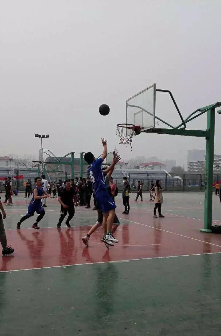 手机百家乐网址大全