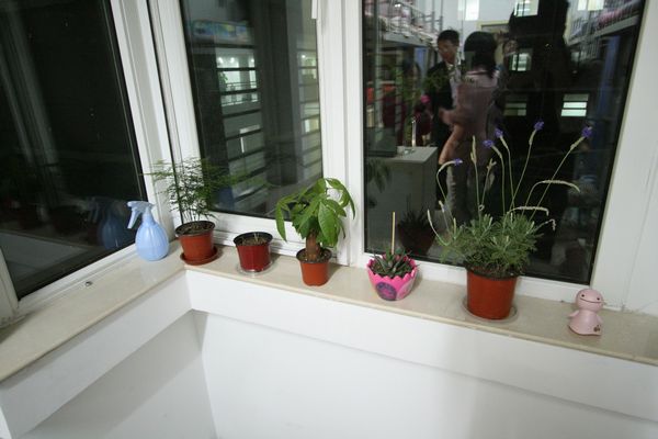 手机百家乐网址大全