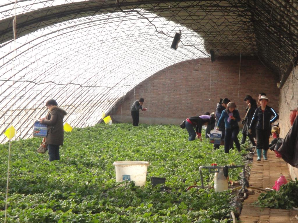 手机百家乐网址大全